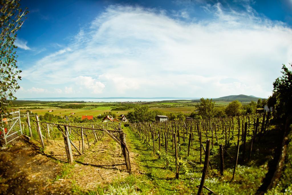 Jokai Villa Siófok Buitenkant foto